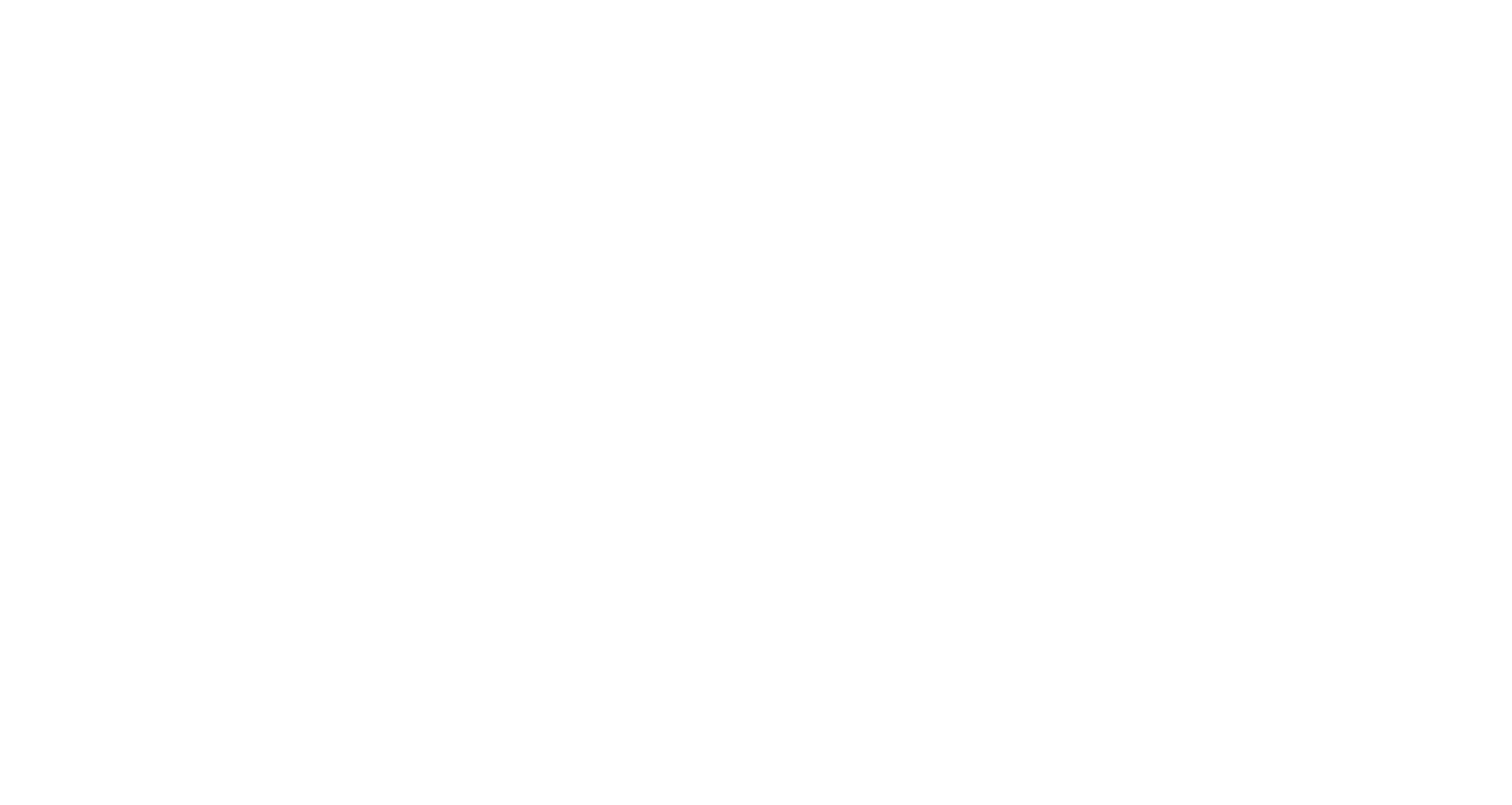 Marta Willy_logotype_white